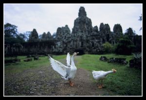Cambodia_07.jpg