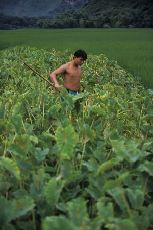 56408246.Vietnam_53.jpg